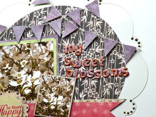 BlossomNewProject1LO3