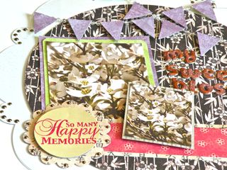 BlossomNewProject1LO2