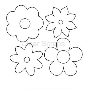 CSAEflowers-2 CSAEflowers-2