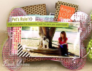 LRC_AcrylicDogBoneAlbum11