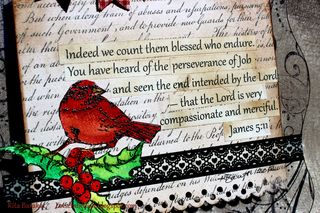 November 2012 007 November 2012 007