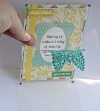 Acrylic-Butterfly-Card-Clear-Scraps-Pinky-Hobbs3
