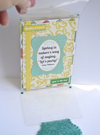 Acrylic-Butterfly-Card-Clear-Scraps-Pinky-Hobbs2