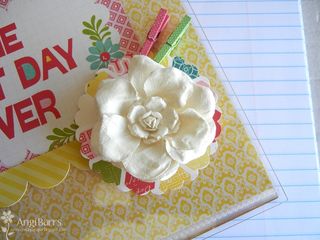 Angi barrs clear scraps acrylic album 002 copy Angi barrs clear scraps acrylic album 002 copy