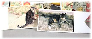 LeahCrowe_LaceyAlbum4b_ClearScraps