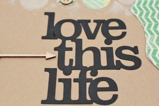 Clear_Scraps_Clearly_Framed_layout2 (800x533)