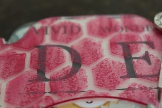 Clear_Scraps_camera_mini3