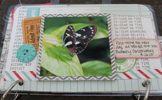 Clear_Scraps_Suitcase_mini12