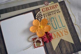 Fall mini5 Fall mini5