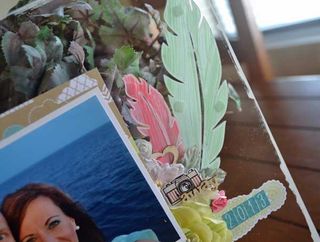 Love winter cha 2014_3 Love winter cha 2014_3