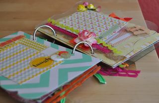 Clear scraps_minialbum_nancy keslin_chipboard