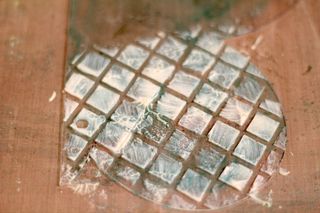 Clear_Scraps_Spring_Mixable_Album15