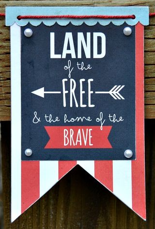 Land of the free banner 3