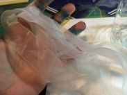 10389026_10204133557605666_1565112141299681775_n