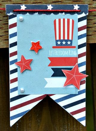 Land of the free banner 1