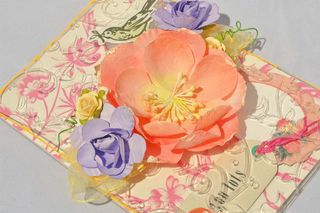 Clear scraps_ornate_send it clear_card_nancy keslin_front