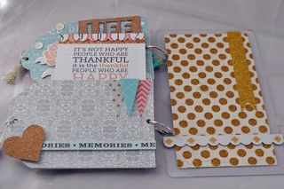 Luggage_mixable_mini album_nancy keslin Luggage_mixable_mini album_nancy keslin