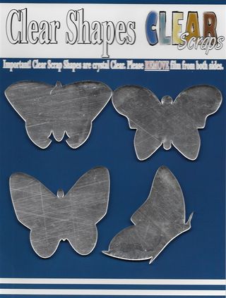 CSMRbutterflies-2 CSMRbutterflies-2