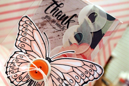 CS_may14_butterfly2_wprice CS_may14_butterfly2_wprice