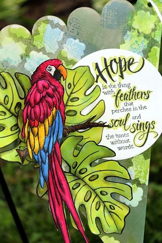 CS-parrot_banner1_wendy price CS-parrot_banner1_wendy price