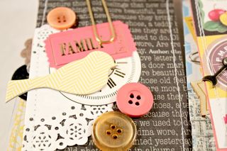 Clear_Scraps_Clear_Box_Small7