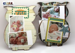 LRC_ClearScraps_Owl3