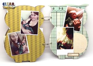 LRC_ClearScraps_Owl5