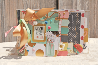 Live life_mini album_my minds eye_clear scraps_nancy keslin