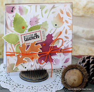 Clear scraps_card_stencil_c.mercer