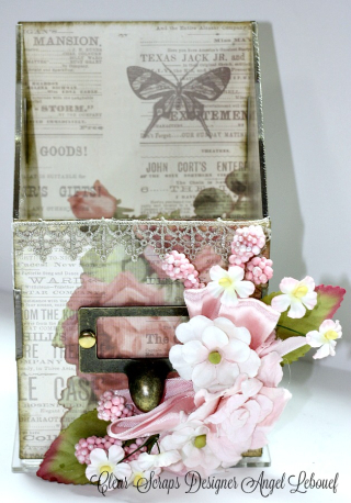 Acrylic Box-clearScraps-Angel Lebouef