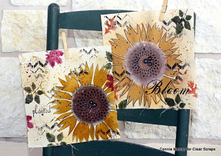 Sf stencil_clear scraps_c.mercer Sf stencil_clear scraps_c.mercer