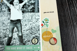 Clear_Scraps_5x9_Feather_Layering_Stencil6