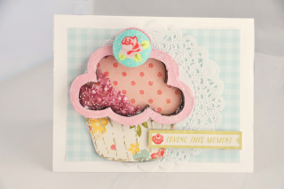 Cupcake_shaker_card_nancy keslin_clear scraps
