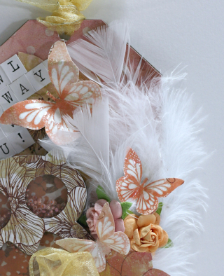 Close up owl Close up owl