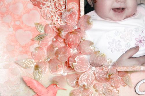 IMG_3756_edited IMG_3756_edited