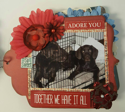 17424986_10208856479744791_6449096261096542135_n