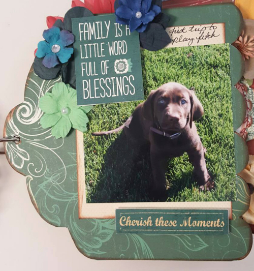 17554364_10208856478424758_7745670588445284078_n