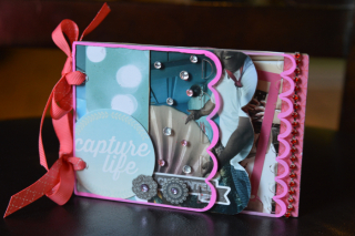 Clear Scraps Mini Album Vacaton Capture This Pinky Hobbs - 5