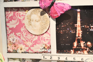 Paris_printer tray_clear scraps_shaker