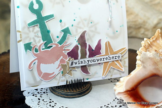 Clear scraps_cards_vellum2-c.mercer