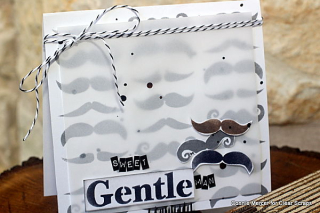 Clear scraps_vellum_stencils-c.mercer