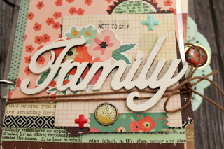 Clear_Scraps_Family_Chipboard_Word_Title2 Clear_Scraps_Family_Chipboard_Word_Title2
