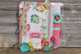 Family_mini album_clear scraps_mixable_ chipboard_ nancy keslin