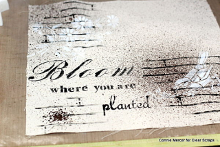 Clear Scraps_Mascils3_C. Mercer