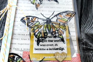 Clear_Scraps_Acrylic_card_butterfly2