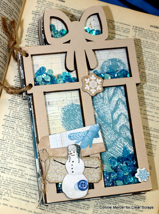 Clear Scraps_Accordian Shaker Album1_C. Mercer