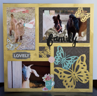 Clear Scraps Acrylic Layout by Pinky Butterflies - 1