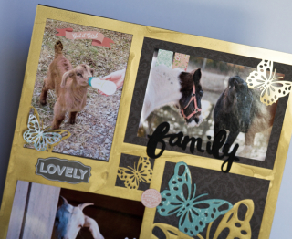 Clear Scraps Acrylic Layout by Pinky Butterflies - 2