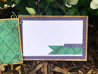 Clear Scraps_Hello_Succulent_Card2