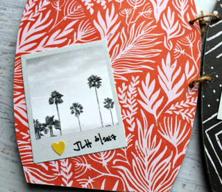 Clear_Scraps_Boat_Wood_Accordion_Shaker_Album12